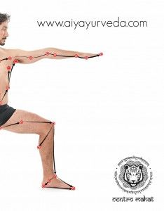 El Yoga Ayurvédico