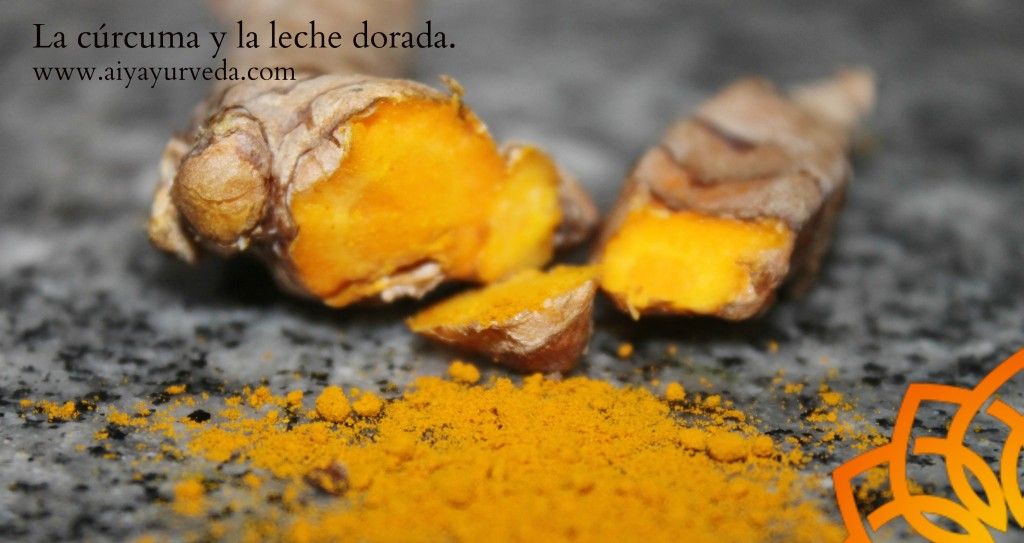 Leche de Oro