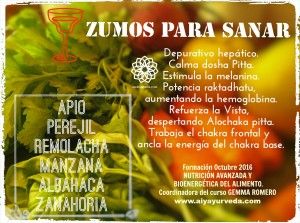 ZUMOS PARA SANAR CUERPO Y ALMA. GEMMA ROMERO