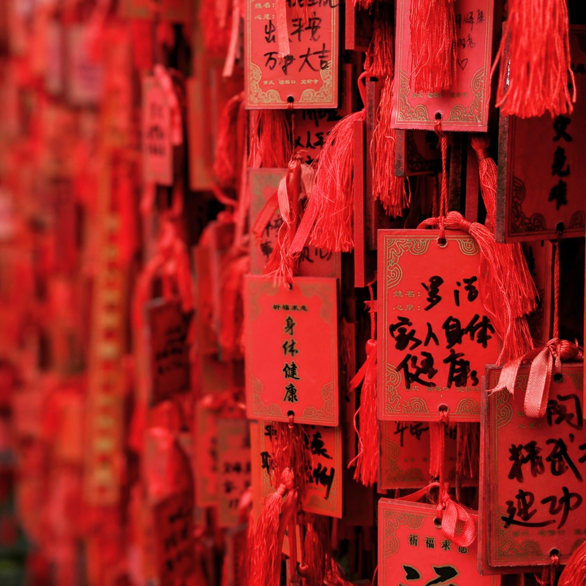 la nutricion desde el punto de vista de la medicina tradicional china