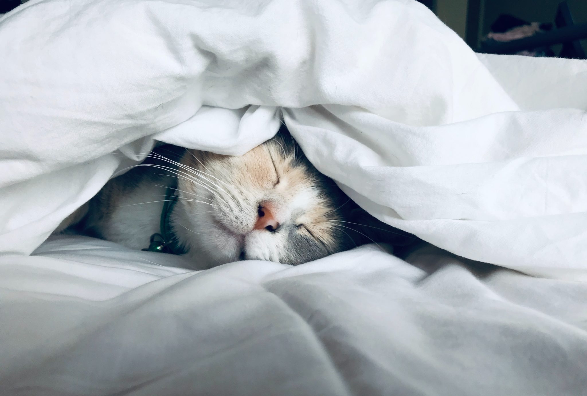 mindfulness para dormir